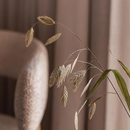 酒店 Nobis Palma, A Member Of Design 帕爾馬